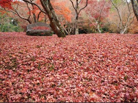 Fall at the headquarters grounds