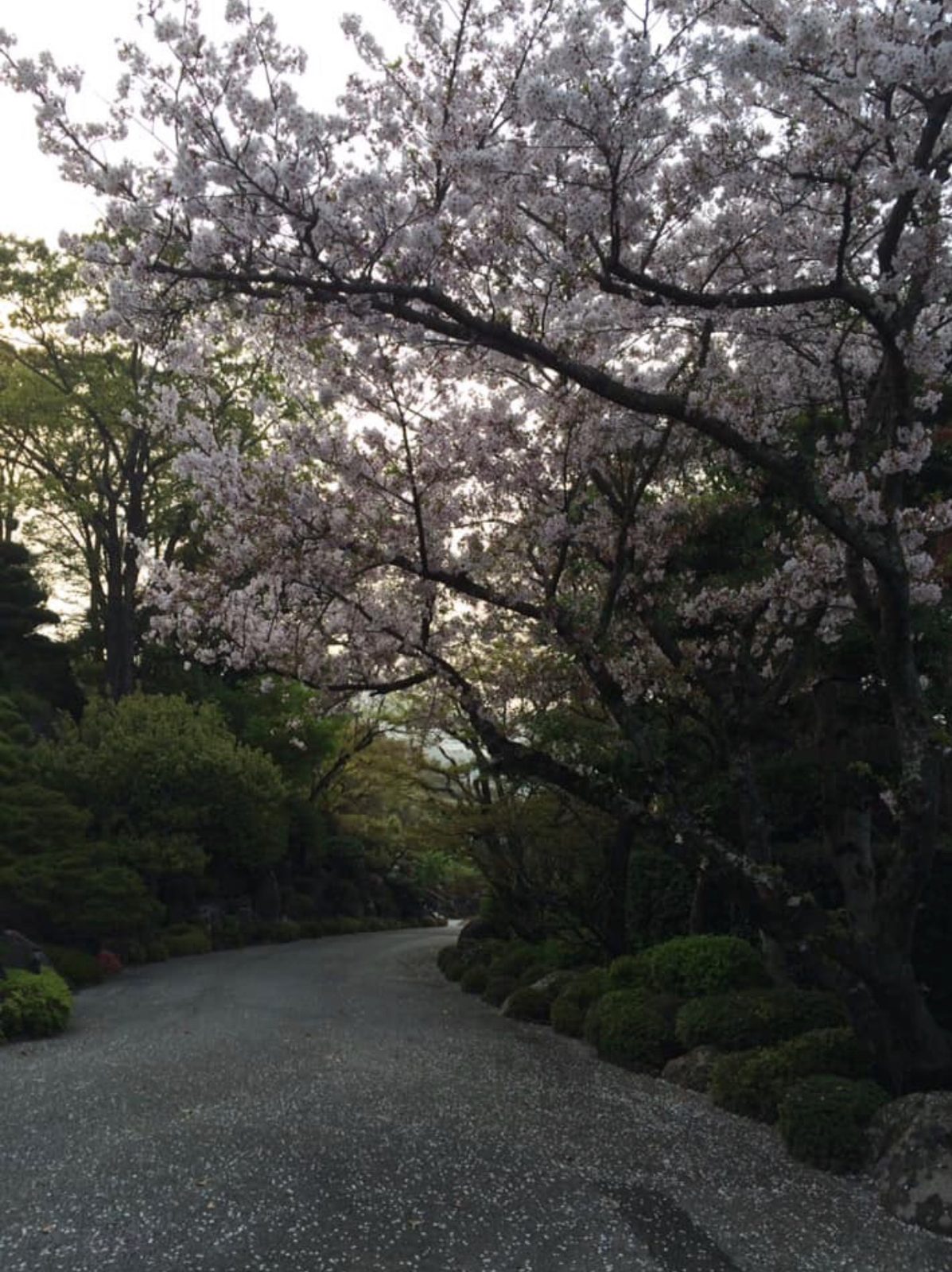Spring at the headquarters grounds