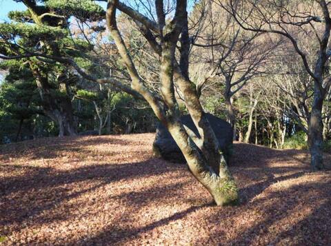 Headquarters grounds